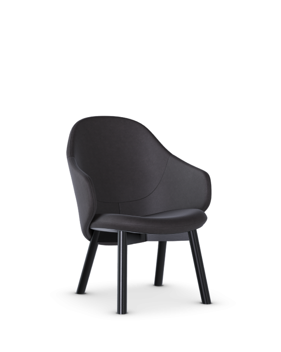Lounge křeslo Albu