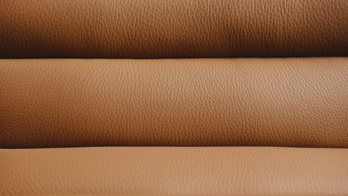 Leather01 (1)