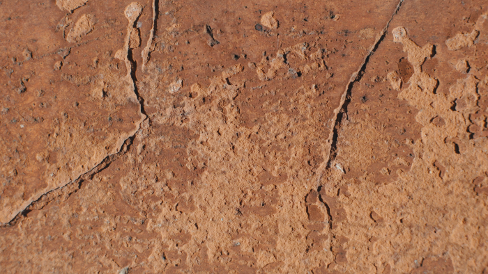 Cihla01